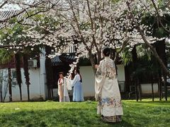 -堤角公园