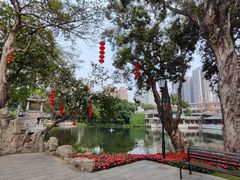 -荔湾湖公园