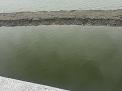 -中国湿地博物馆