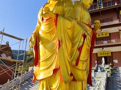 -长虫山生态公园风景林