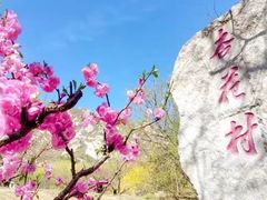 -北京凤凰岭