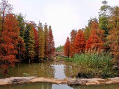 -云溪植物园