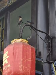 -I+造型烫发染发