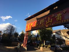 -东巴谷野生菌火锅餐厅