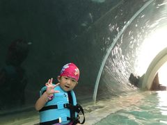 -新加坡水上探险乐园