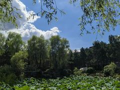 -东北师范大学(净月大街校区)