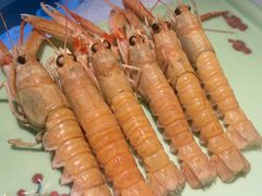 -腾阁自助餐厅(朝林广场店)