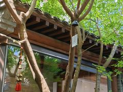 -VOYAGE COFFEE(杨梅竹店)