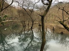 景点-五泄景区