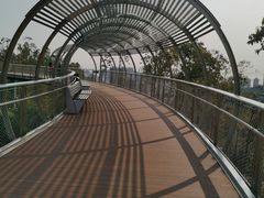 -板樟山森林公园