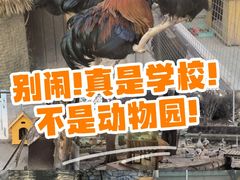 -北京市海淀外国语实验学校