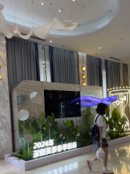 -深圳美莱医疗美容医院