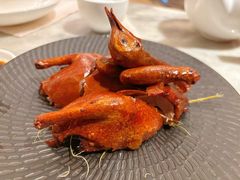 -喜来登由由大酒店九州膳坊中餐厅