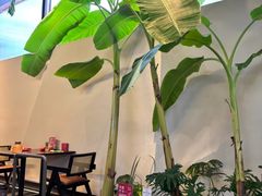 -单家老院·院子里的青岛菜(沙子口店)