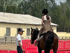 -北京群众马术培训基地