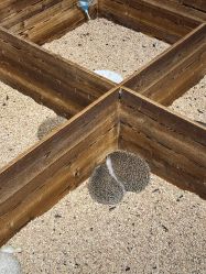 -酷嗒动物文化乐园(cutezoo西溪乐天城店)