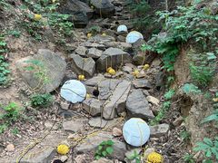 -北京西山国家森林公园