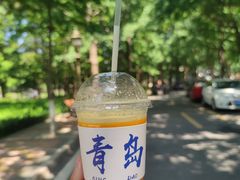 -八大关景区