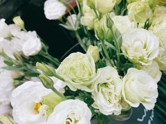 -何兮花店·气球派对鲜花店(马桥银春路万科城店)