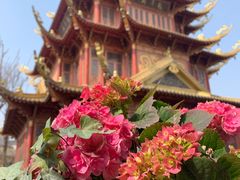 -龙潭水乡