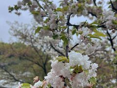 -苏州上方山国家森林公园
