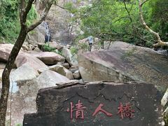 -海南霸王岭国家森林公园