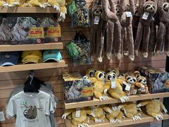 -美国自然历史博物馆