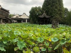-乌镇望津里精品酒店