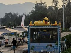 -西涌国际滨海旅游区