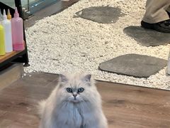 -朝画惜时·陶艺·拼豆·团建