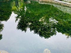 -成都市活水公园