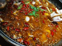 -南山渔美蛙鱼·老鸭汤·火锅(成都大邑店)