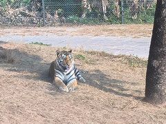 -深圳野生动物园