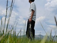 -敕勒川草原