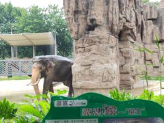 -成都动物园