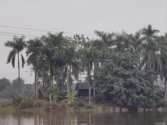 -西双版纳傣族园