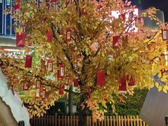 -东莞松山湖万象汇