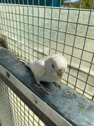 -萌宠亲子动物乐园(槐房万达店)