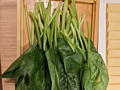 -蝎王府羊蝎子(西直门店)