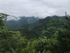 -牛背梁国家森林公园