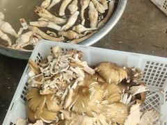 -山菌美食苑(振兴路店)