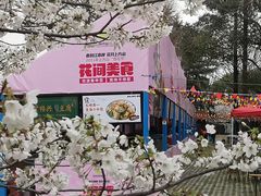 -苏州上方山国家森林公园