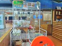 -蓝湾碧波·老字号·疍家非遗海上餐厅