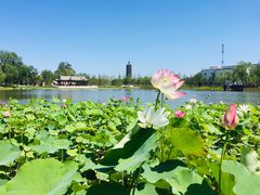-西海子公园
