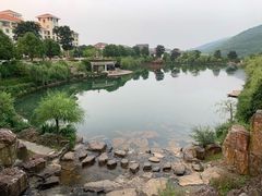 -春花秋色城市公园