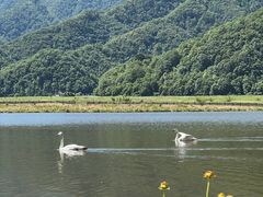 -大九湖