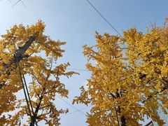 -百林公园-两江幸福广场