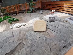 -中国第四纪冰川遗迹陈列馆