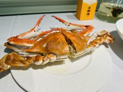 -开海·红岛海鲜虾水饺(石老人店)