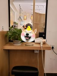 -章光101防脱养发荟